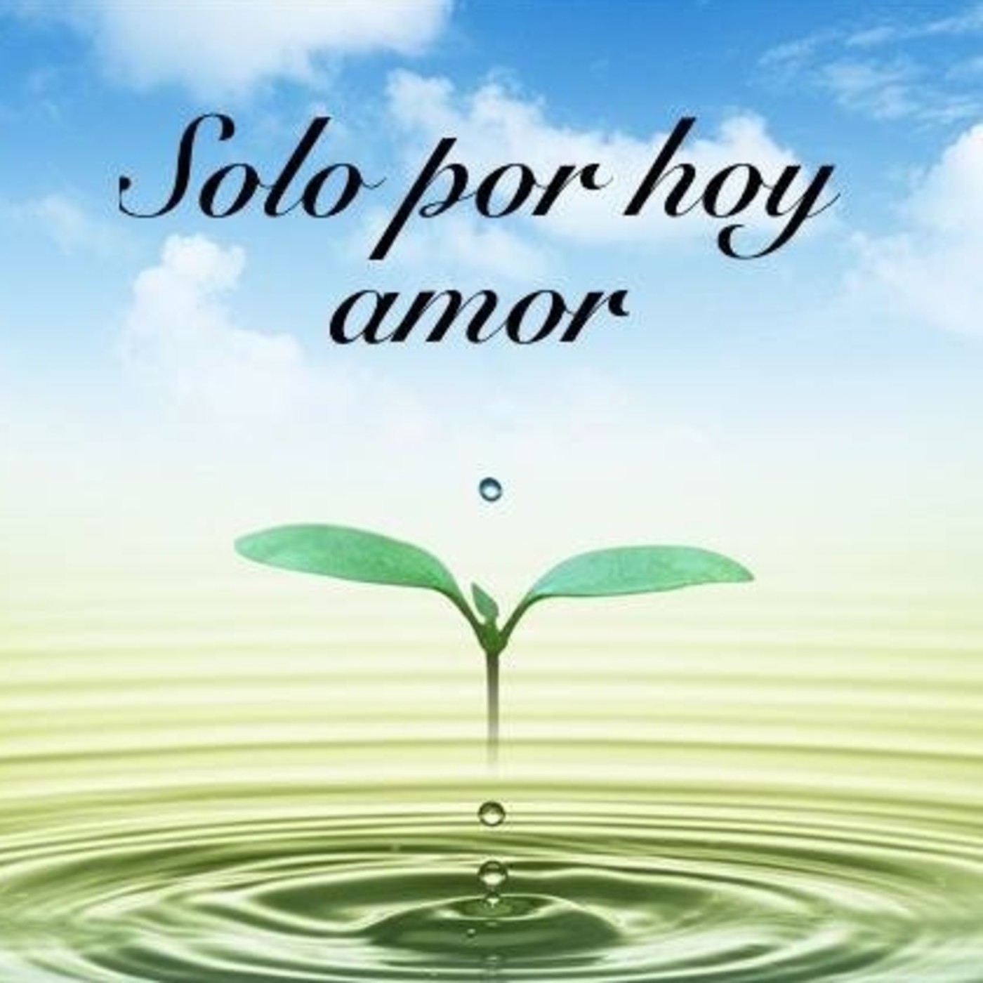 SOLO POR ESTE MOMENTO