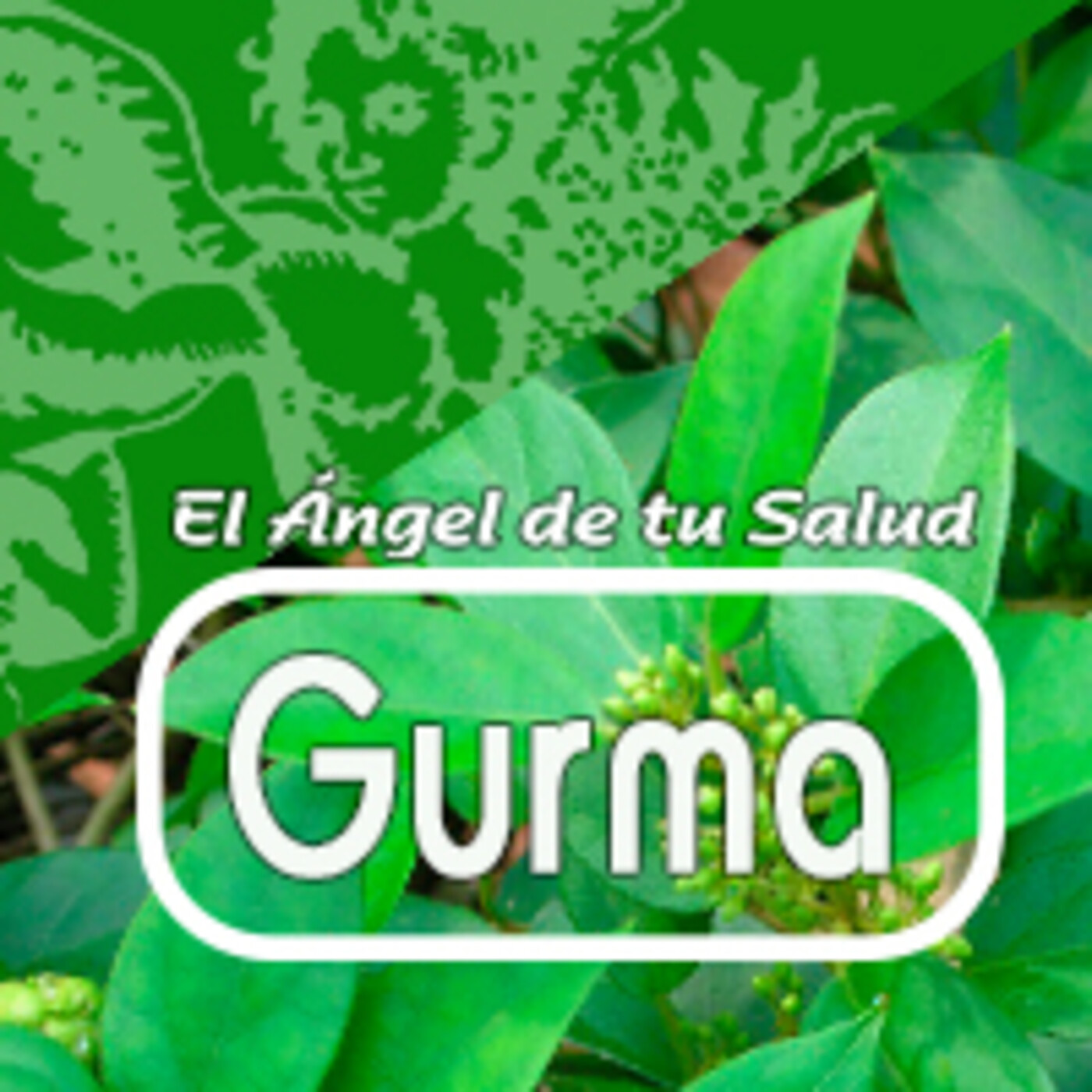 El Angel de tu Salud - GURMA* episode artwork