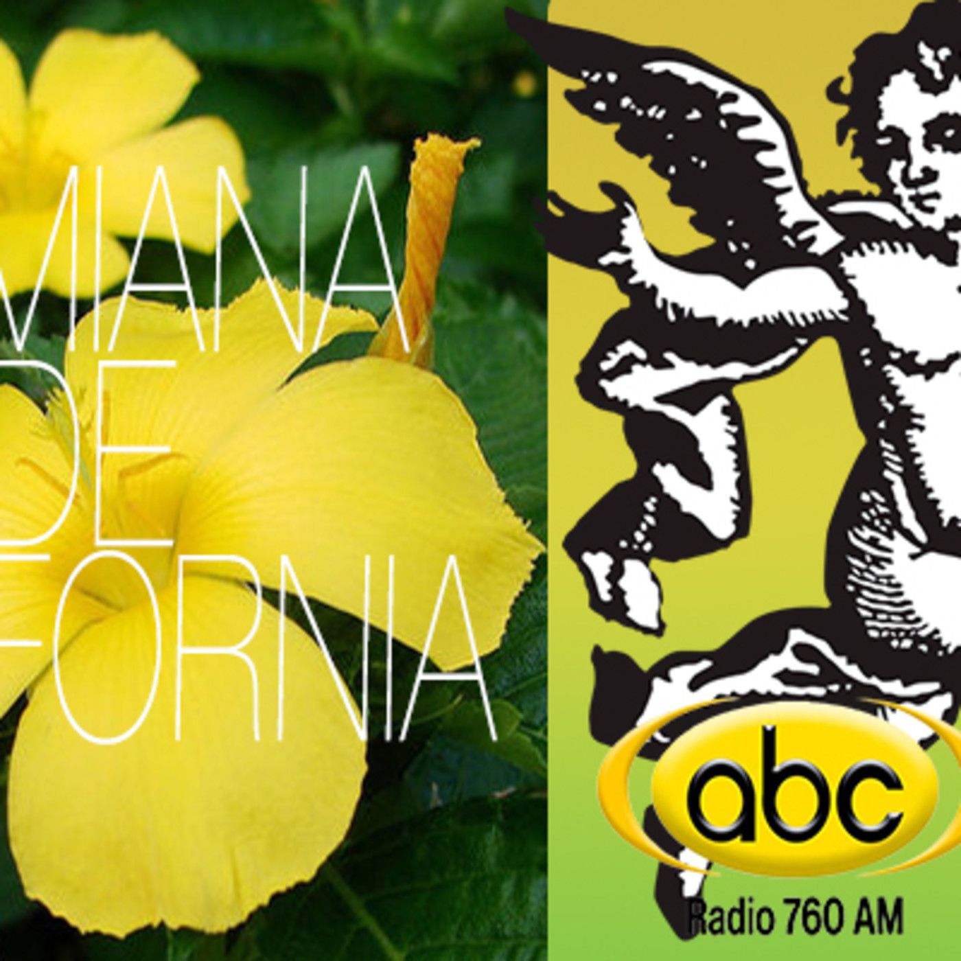 El Angel de tu Salud- DAMIANA DE CALIFORNIA episode artwork