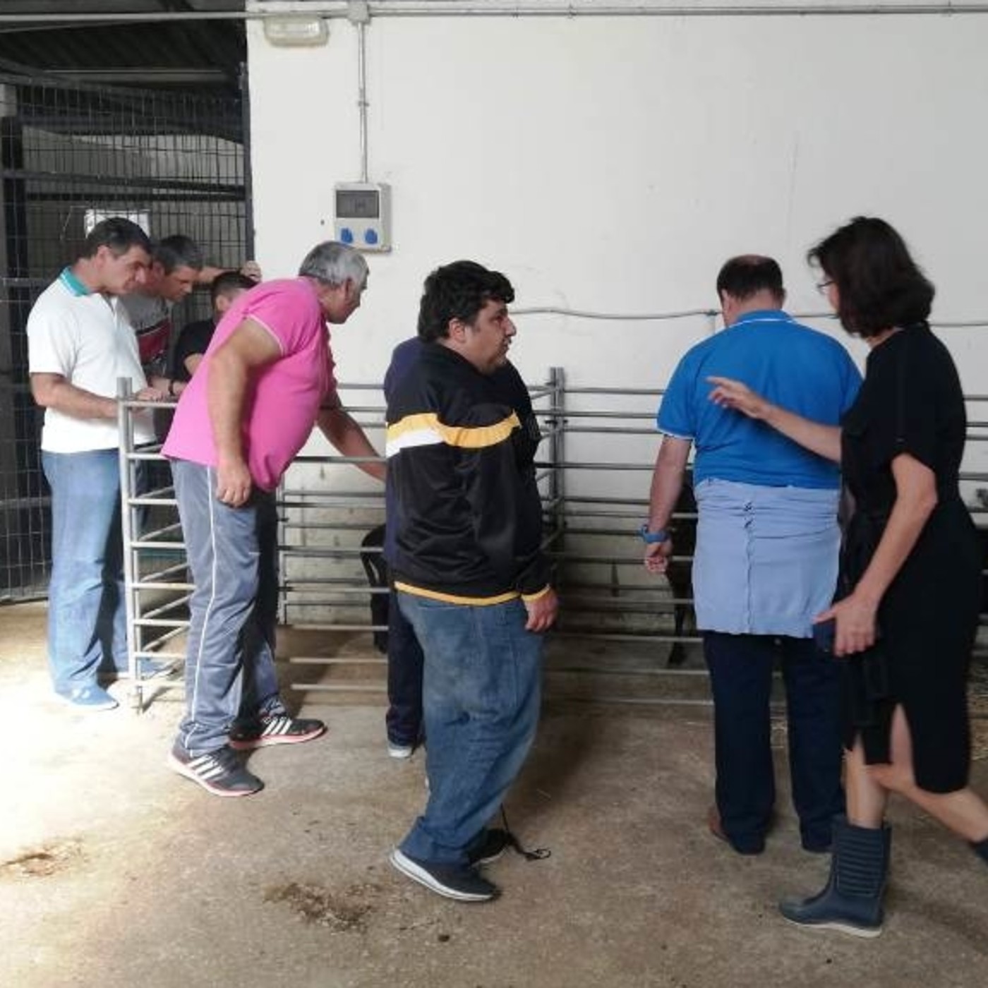 Mensajeros  Paz Extremadura