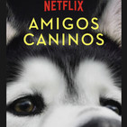 Reseña serie Amigos Caninos (Dogs Netflix)