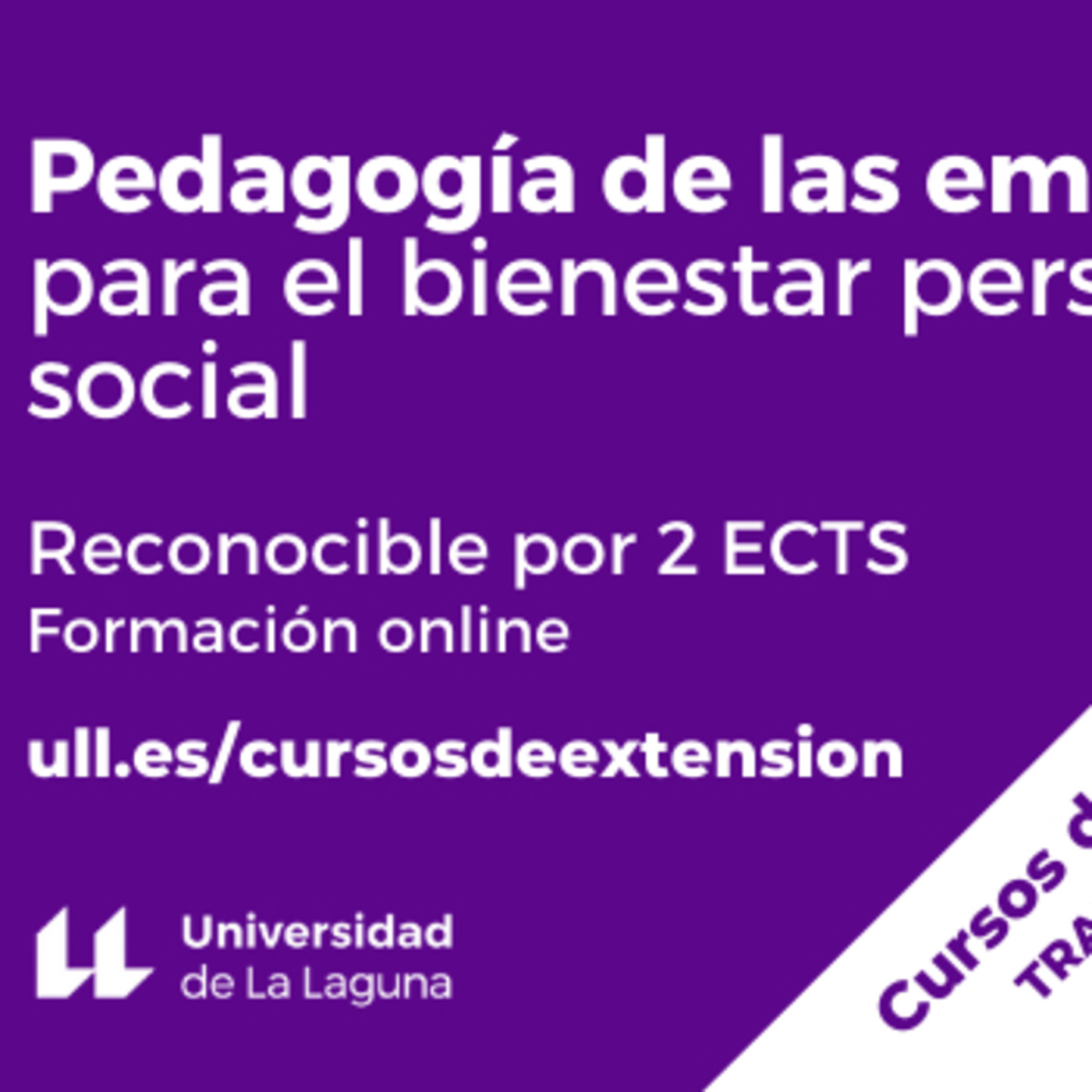 Cursos interdisciplinares y transdisciplinares