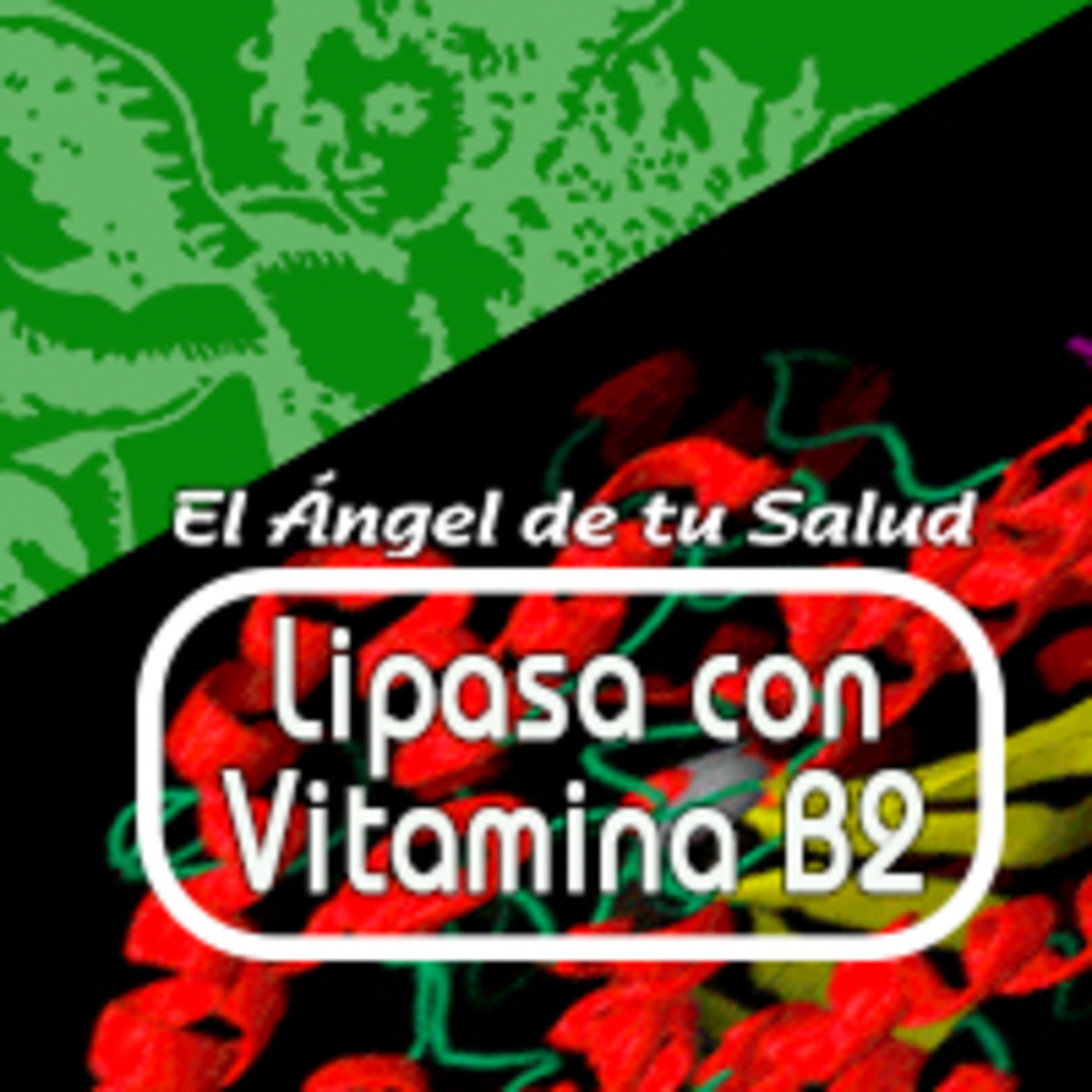 El Ángel De Tu Salud SaÑate 2737