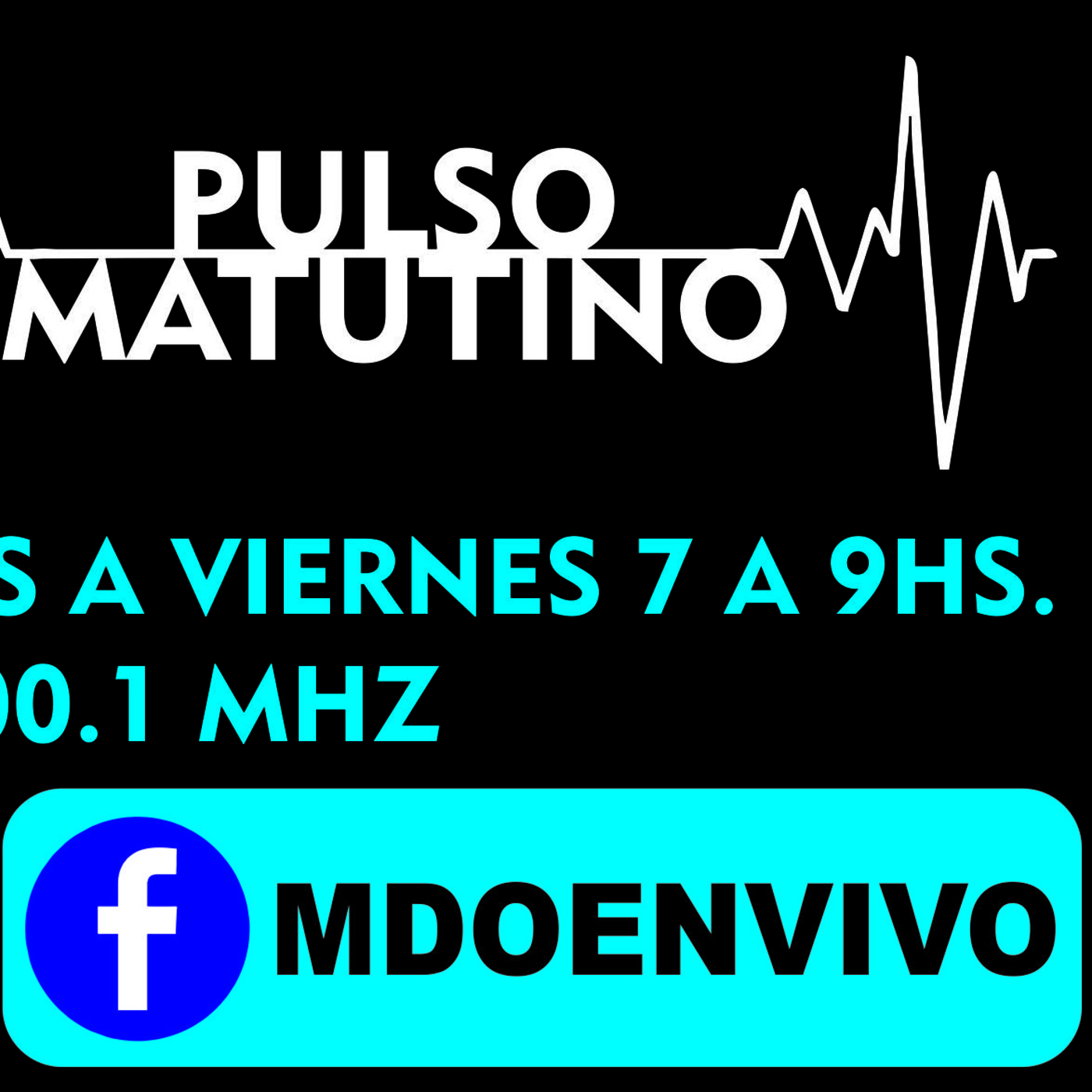 PULSO MATUTINO
