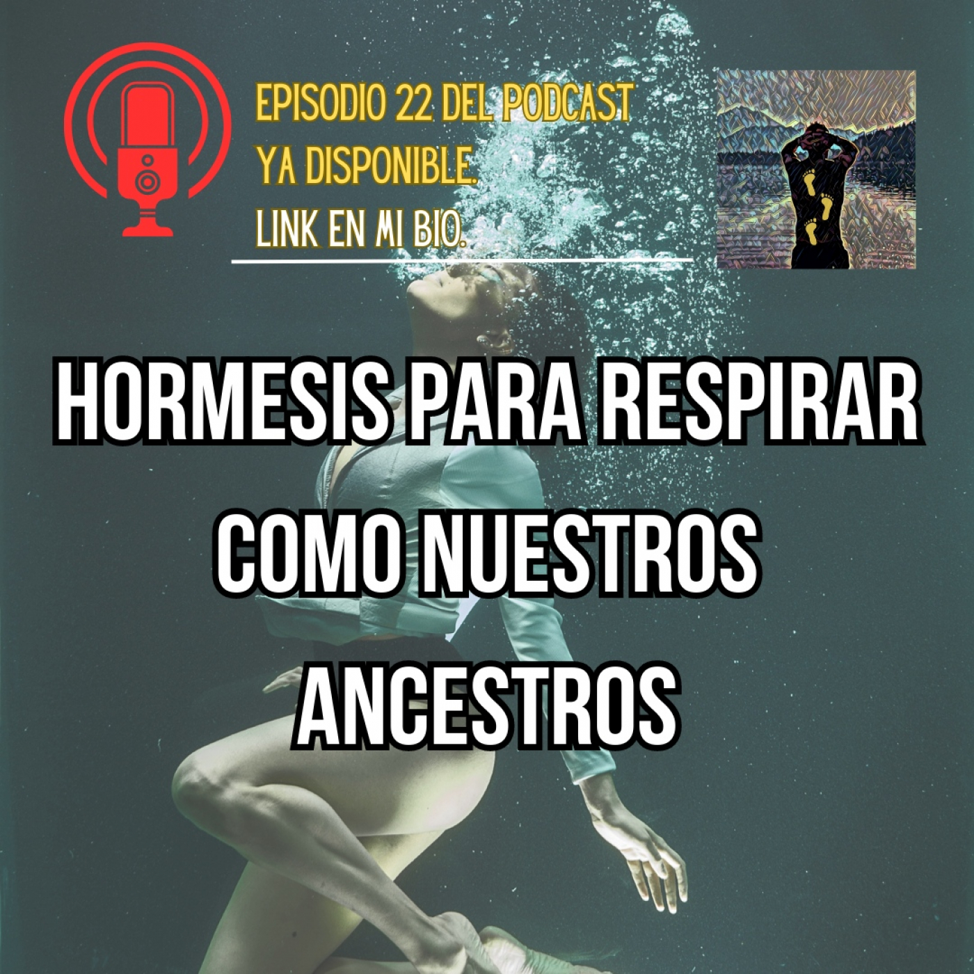 Huellas Horméticas
