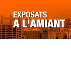 Miguel Moreno (FAVB) a sicom.cat: "Demanem a l'Ajuntament i la Generalitat mesures efectives per retirar tot l'amiant"