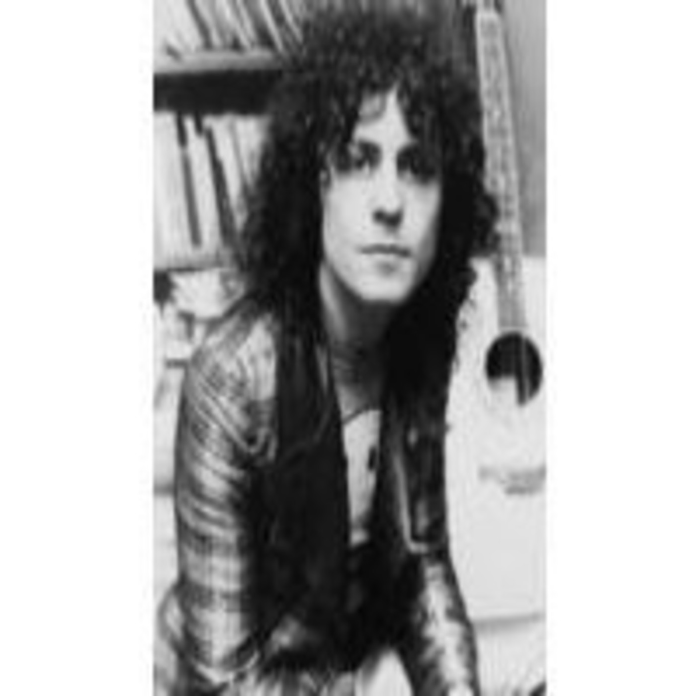 La Tela de Araña 2.0