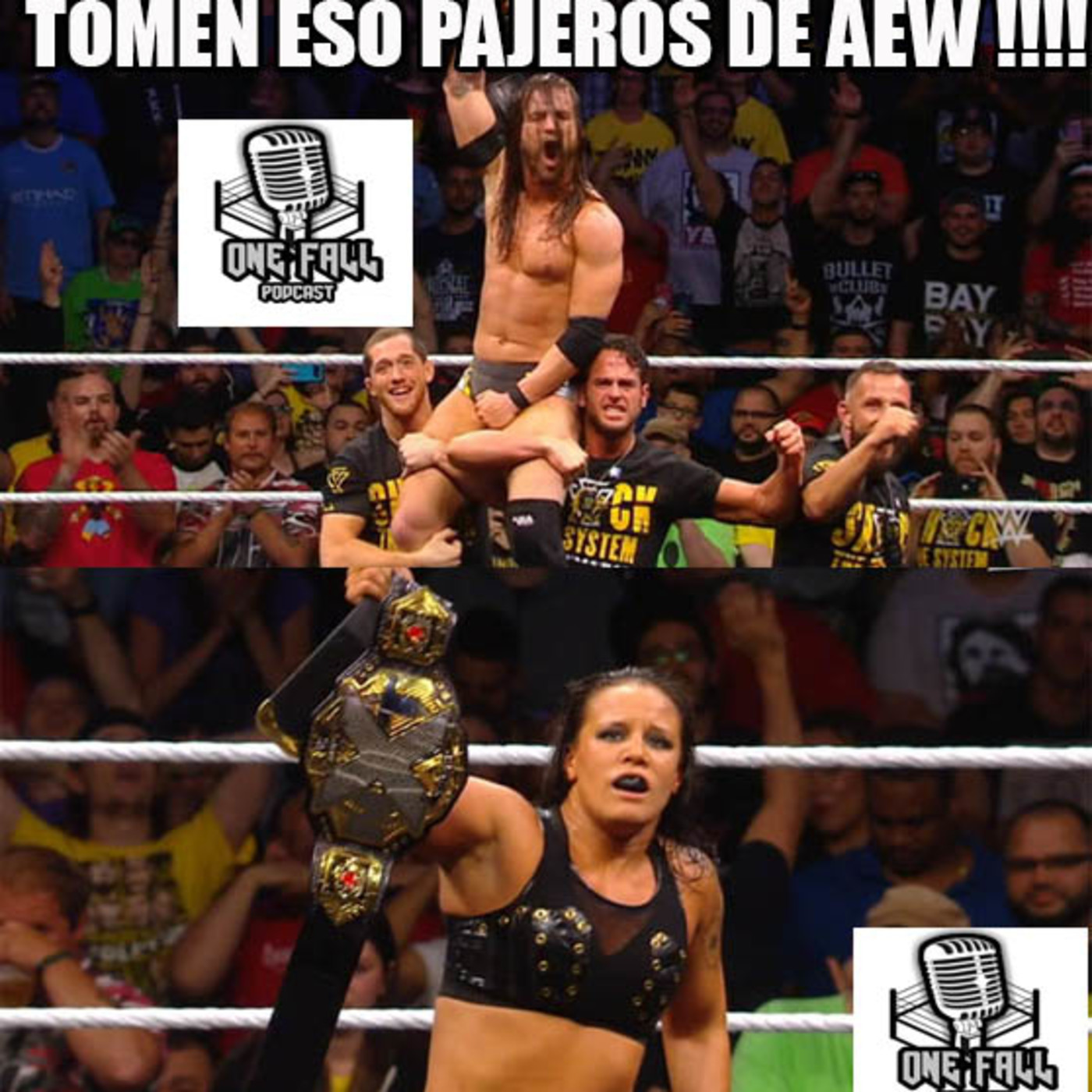 One Fall Podcast # 54 - NXT TAKEOVER XXV episode artwork