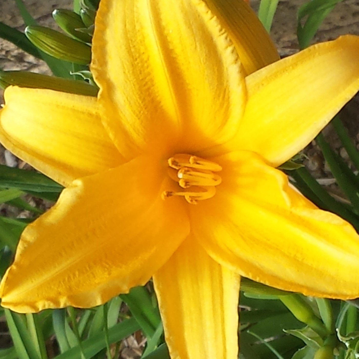 Nuestra Mente es Maravillosa