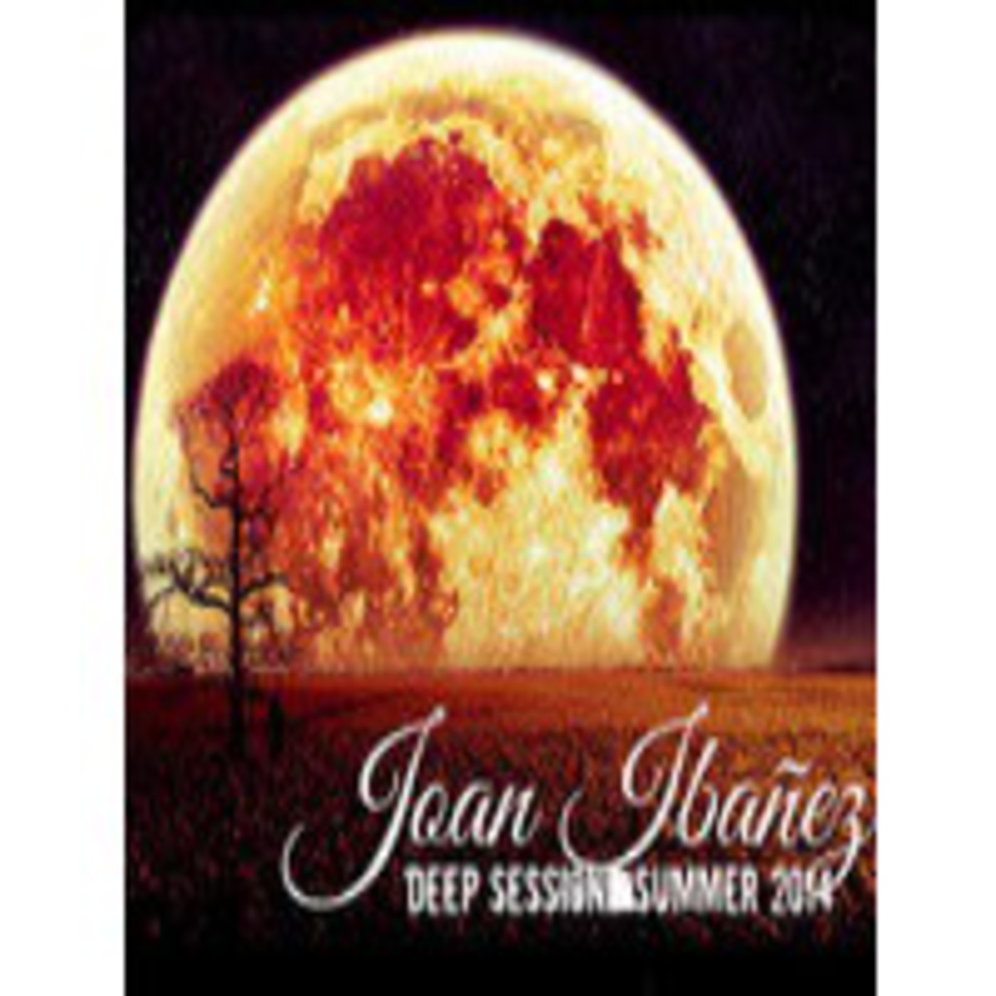 Joan Ibanez - Deep Tech Summer Session 2014 episode artwork