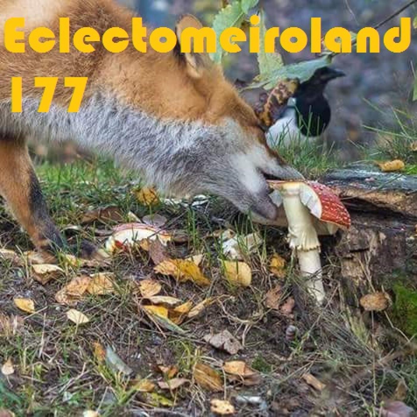 Eclectomeiroland 177 episode artwork