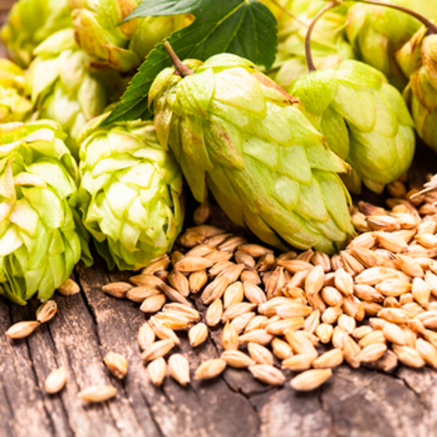 Aire de Cerveza