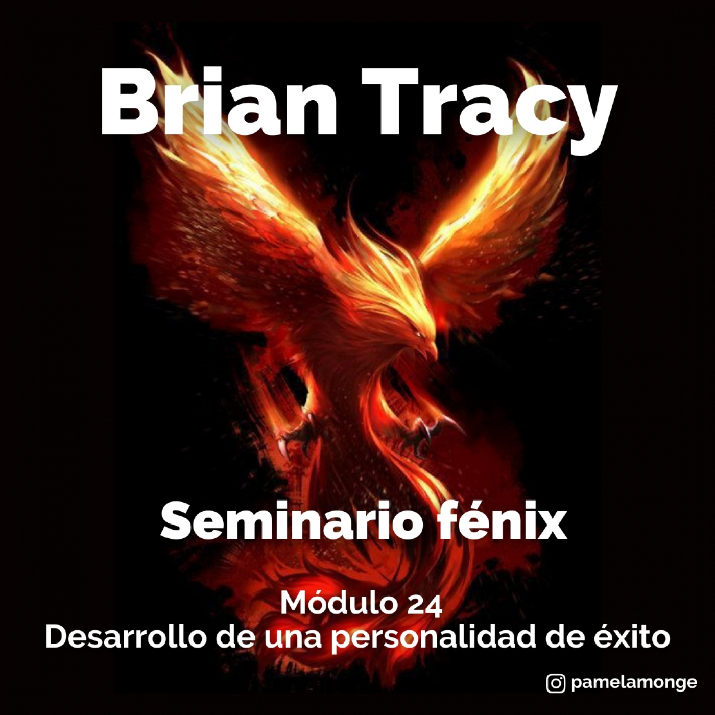 Seminario fénix - Brian Tracy