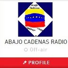 20161121-alberto-franchesqui-y-sus-alucinaciones-escualidas-2014