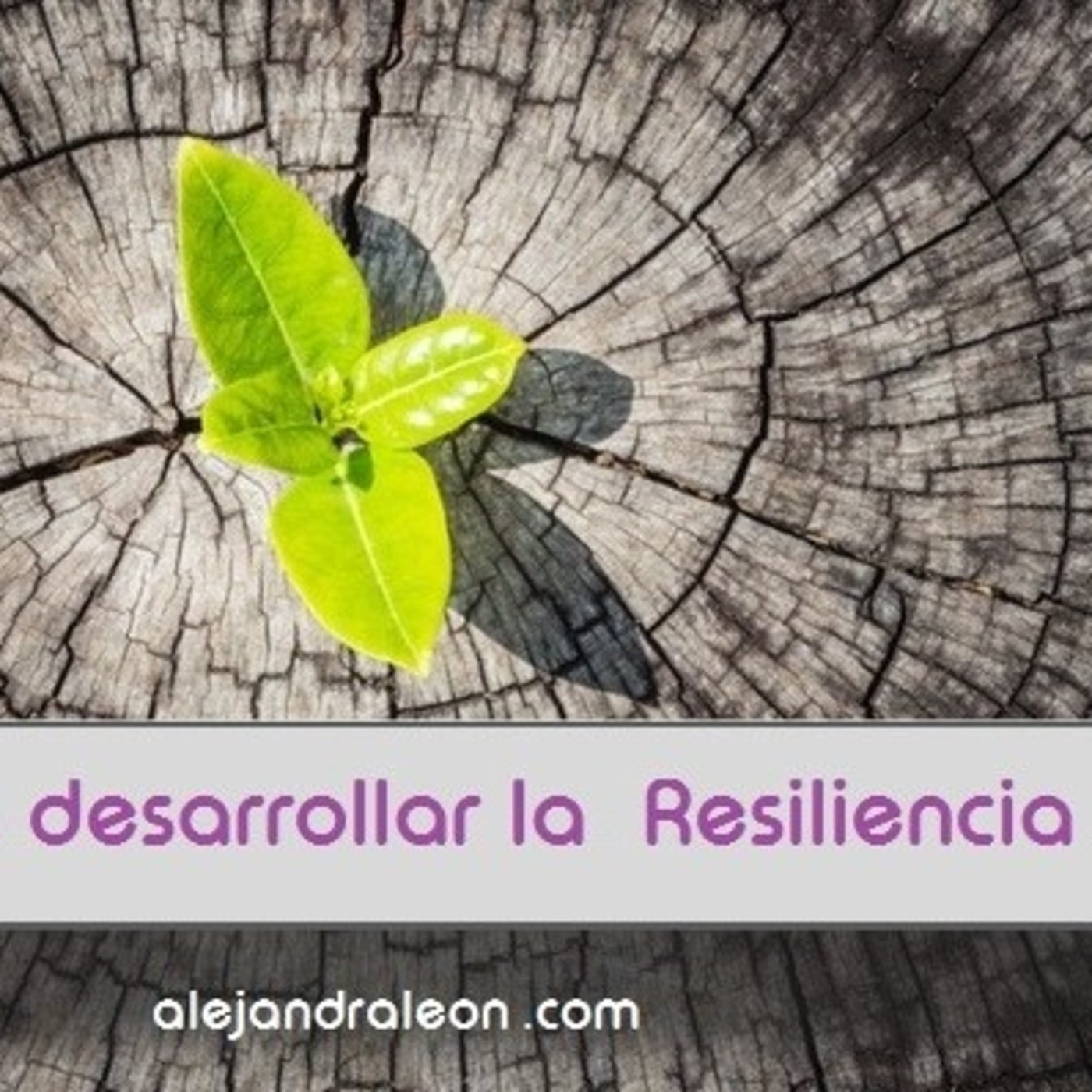 Psicología - Terapia Holística – Mujer y Emociones