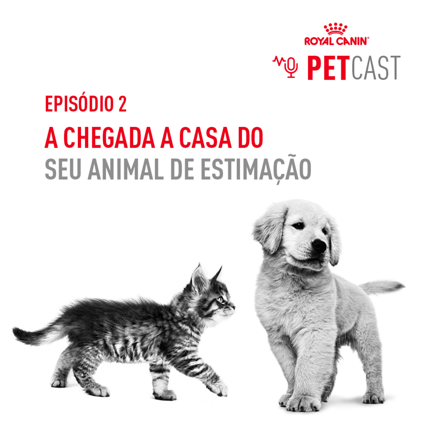 ROYAL CANIN PETCASTS PORTUGAL