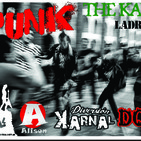 Musica de tu calle homenaje al punk madrynense, 22-05-19