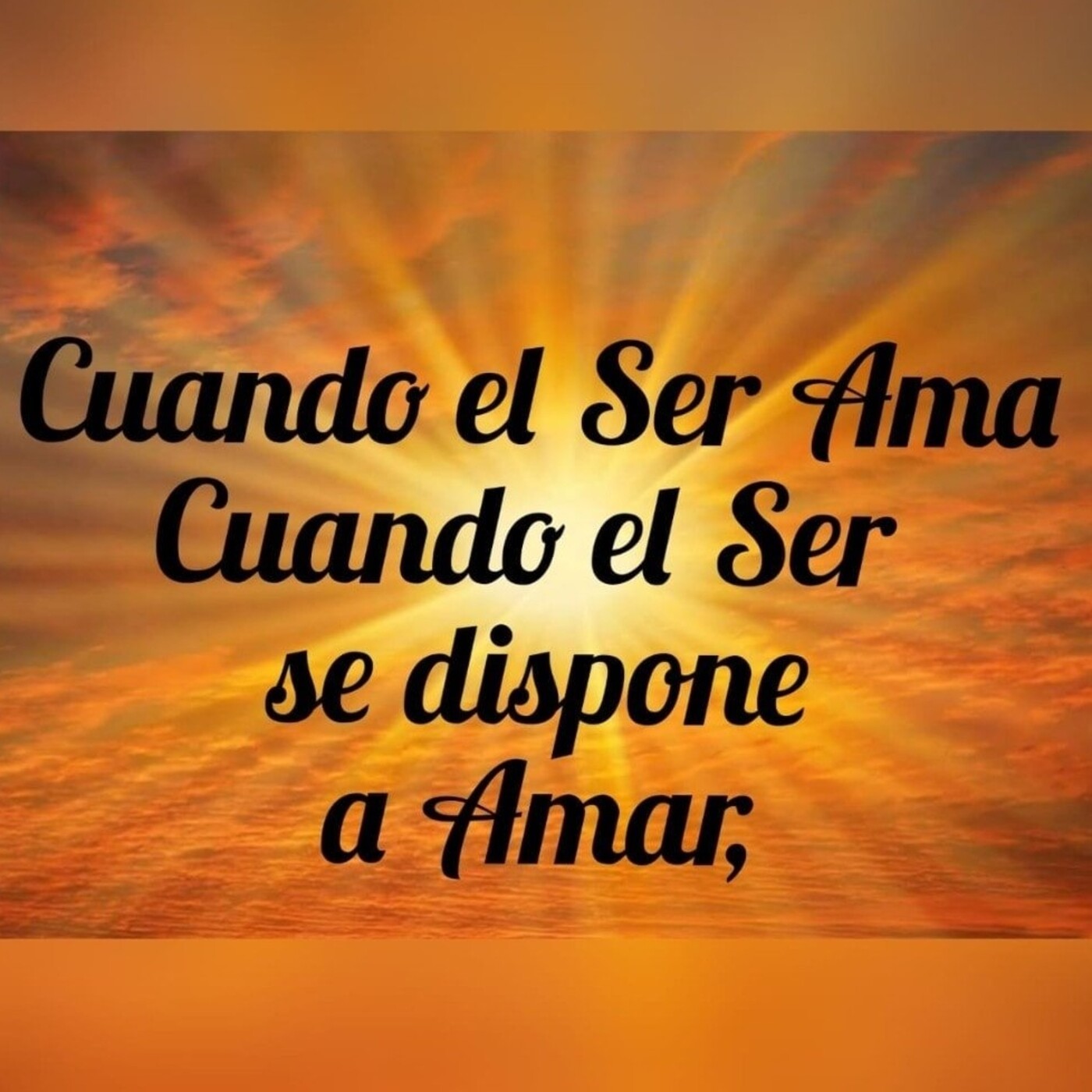 Curso del cambio 8 Curso del cambio 8