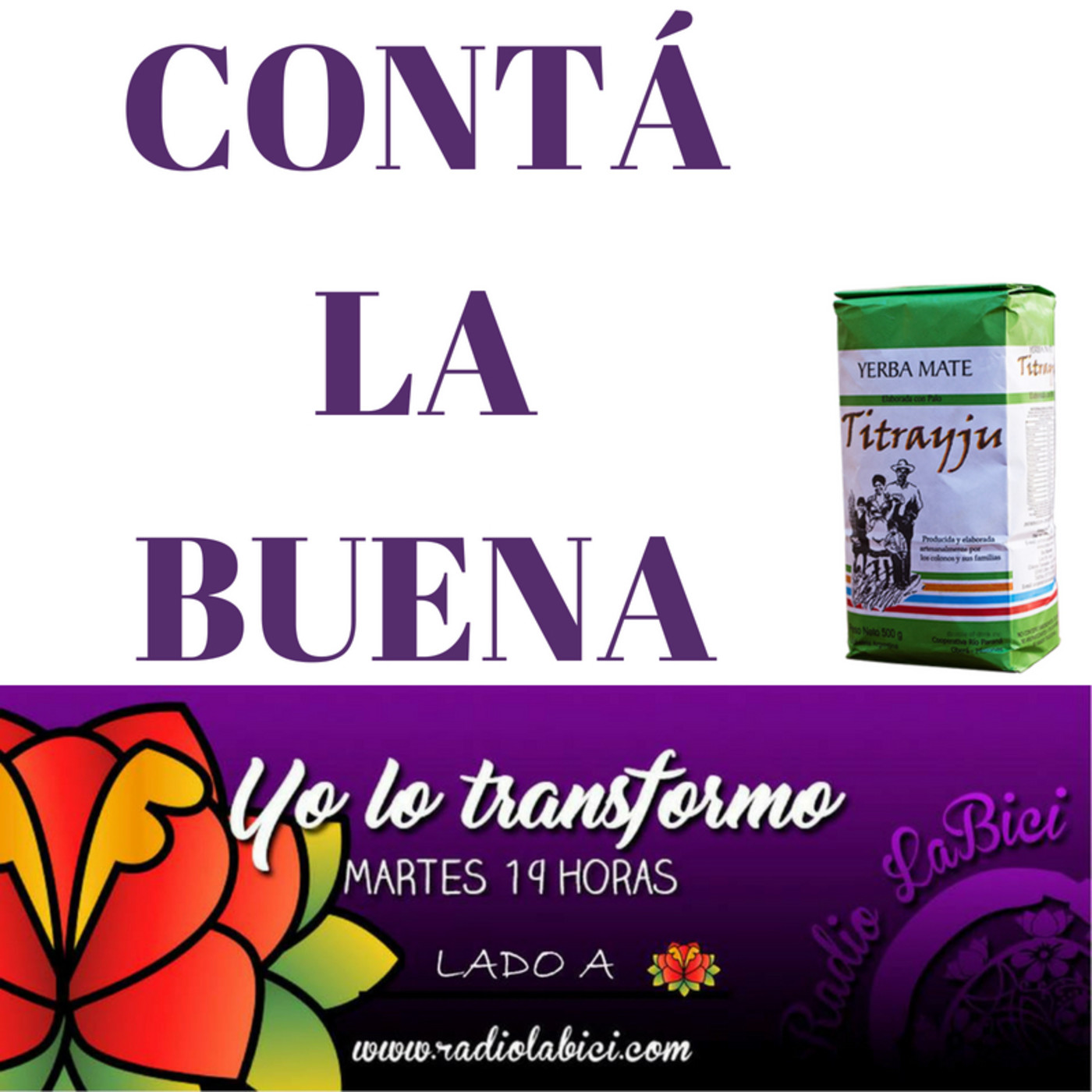 programayolotransformo