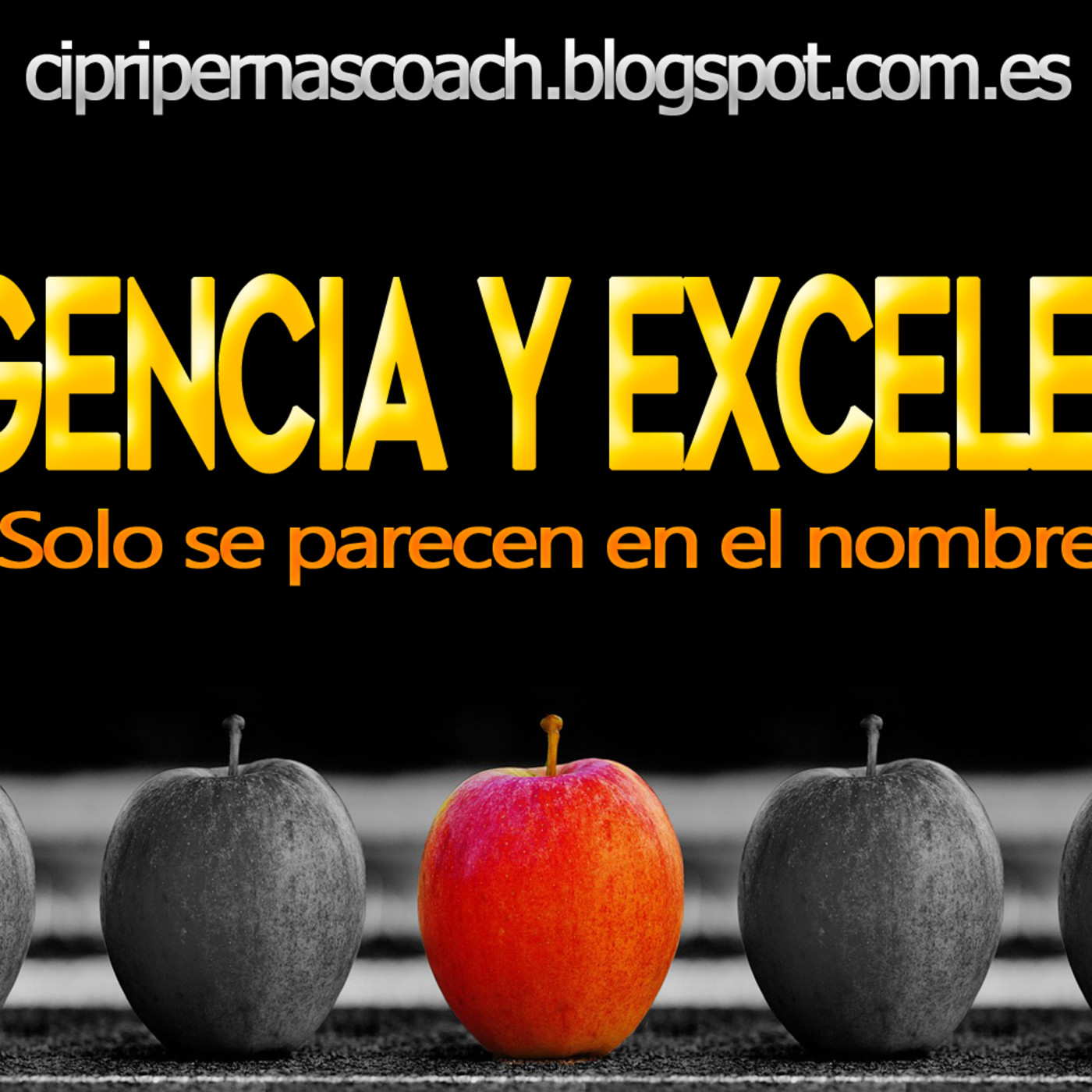 cipripernascoach