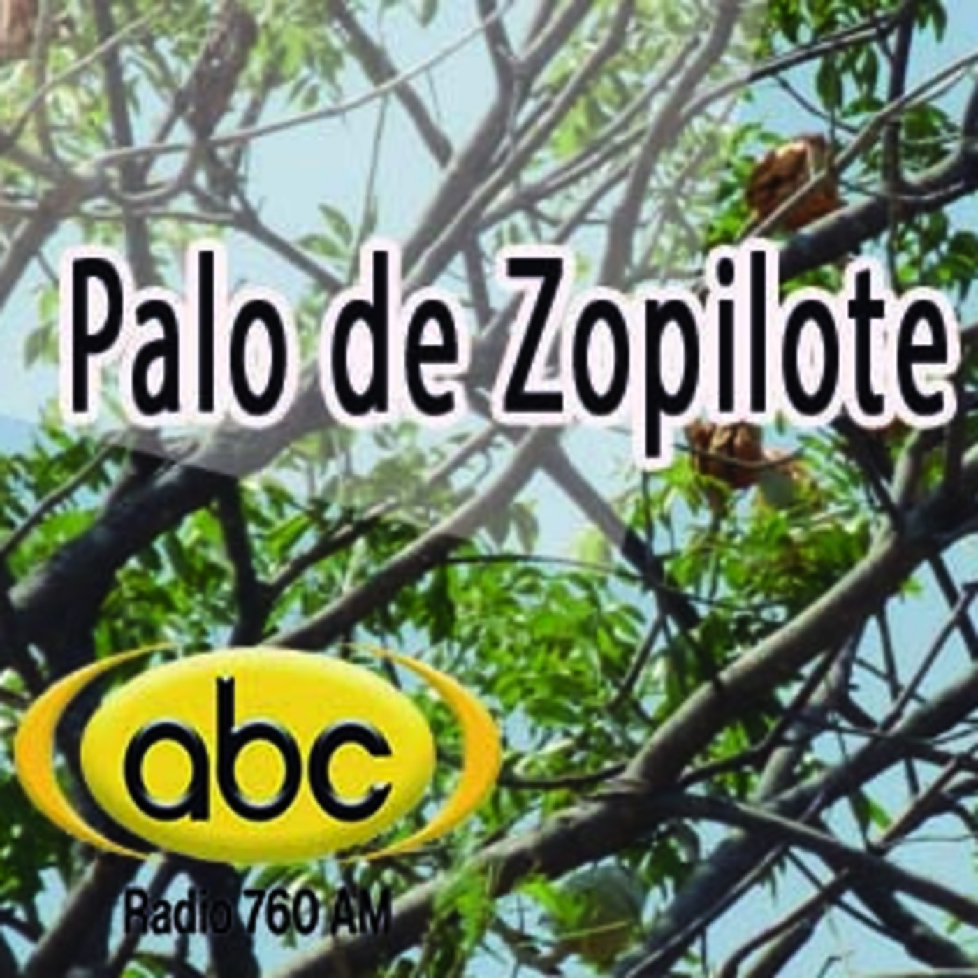El Ángel de tu Salud -PALO DE ZOPILOTE episode artwork