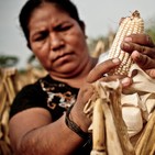 Las luchas de las mujeres colombianas - La tertulia