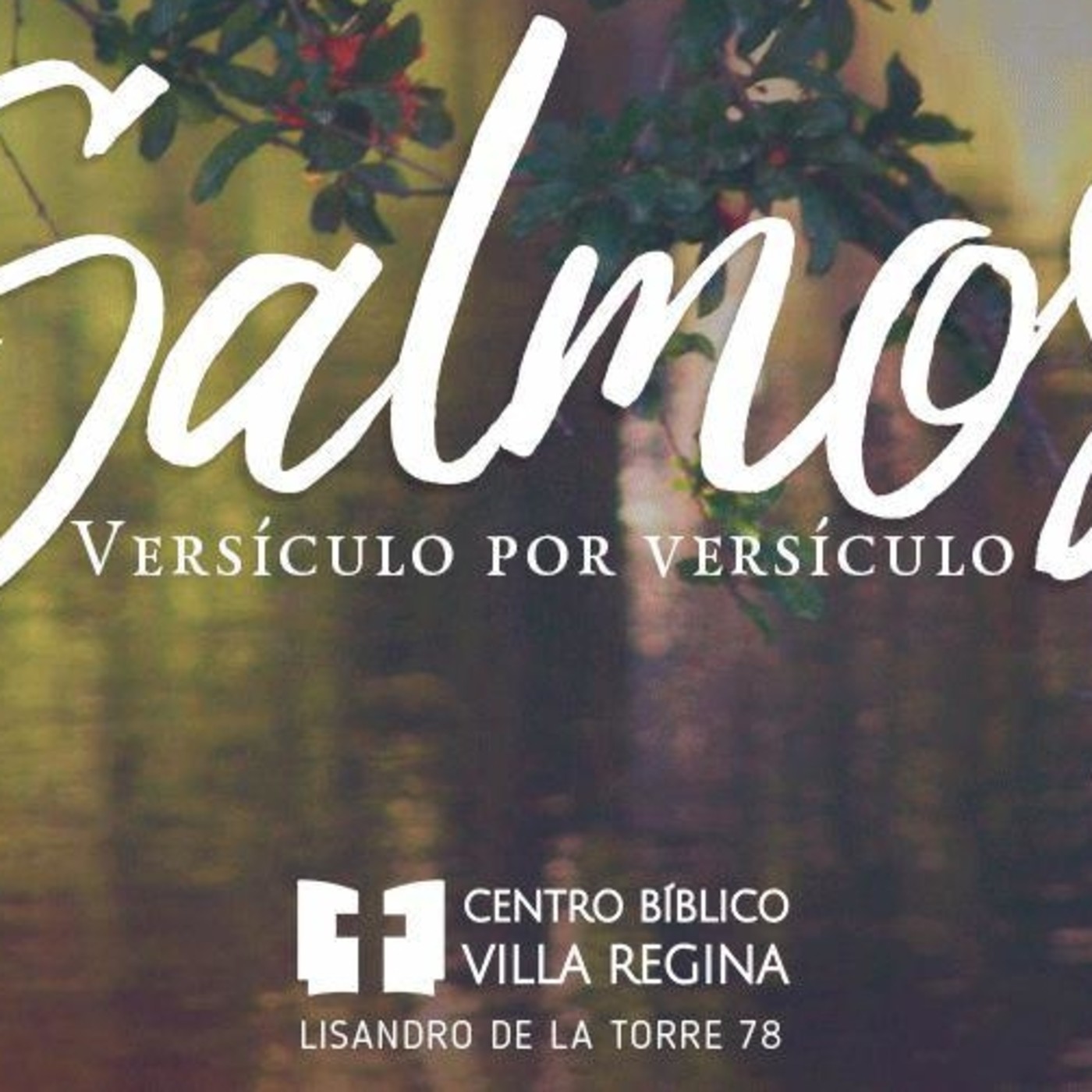 Salmos, versículo por versículo