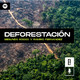 Podcast #6 Deforestación