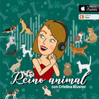 Por el bienestar de tu mascota y del medio ambiente con Life Vegan Pets