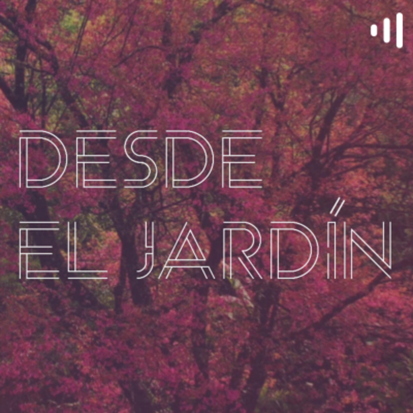 Desde el Jardín