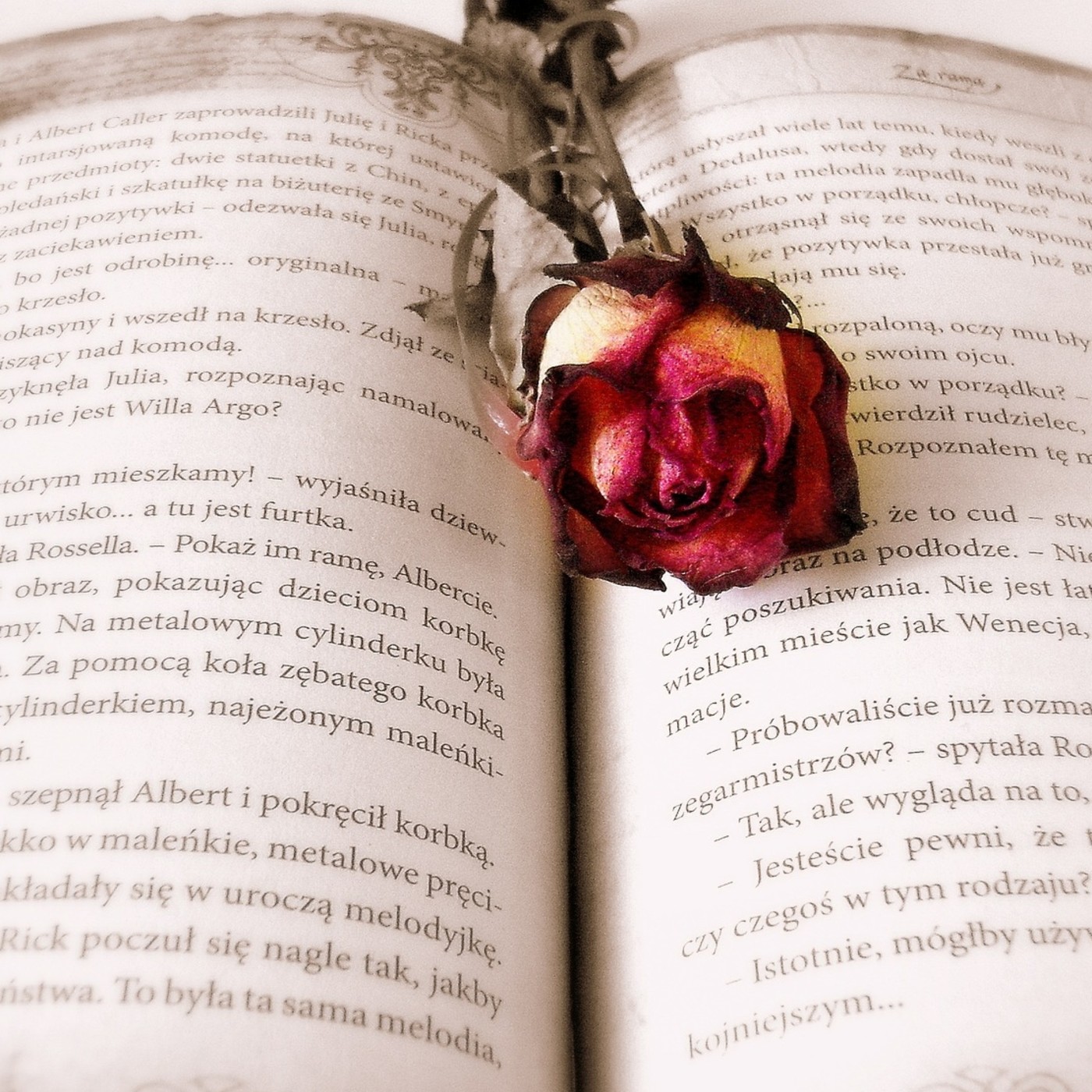 Poema XV de Gustavo Adolfo Bécquer episode artwork