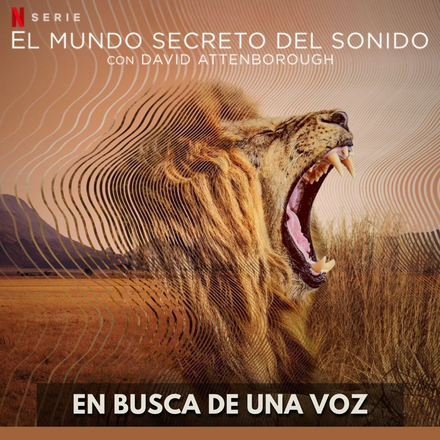 El Mundo Secreto del Sonido - En Busca de una Voz episode artwork