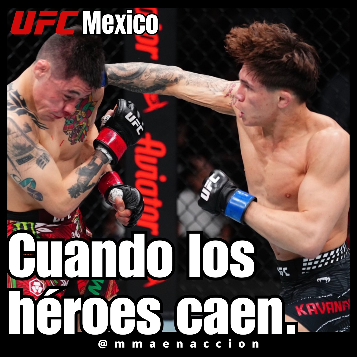 MMA en acción