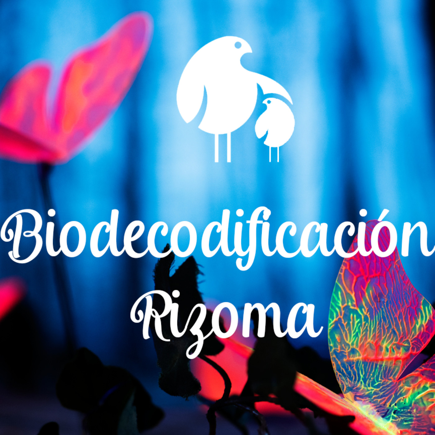 Biodecodificacion Rizoma