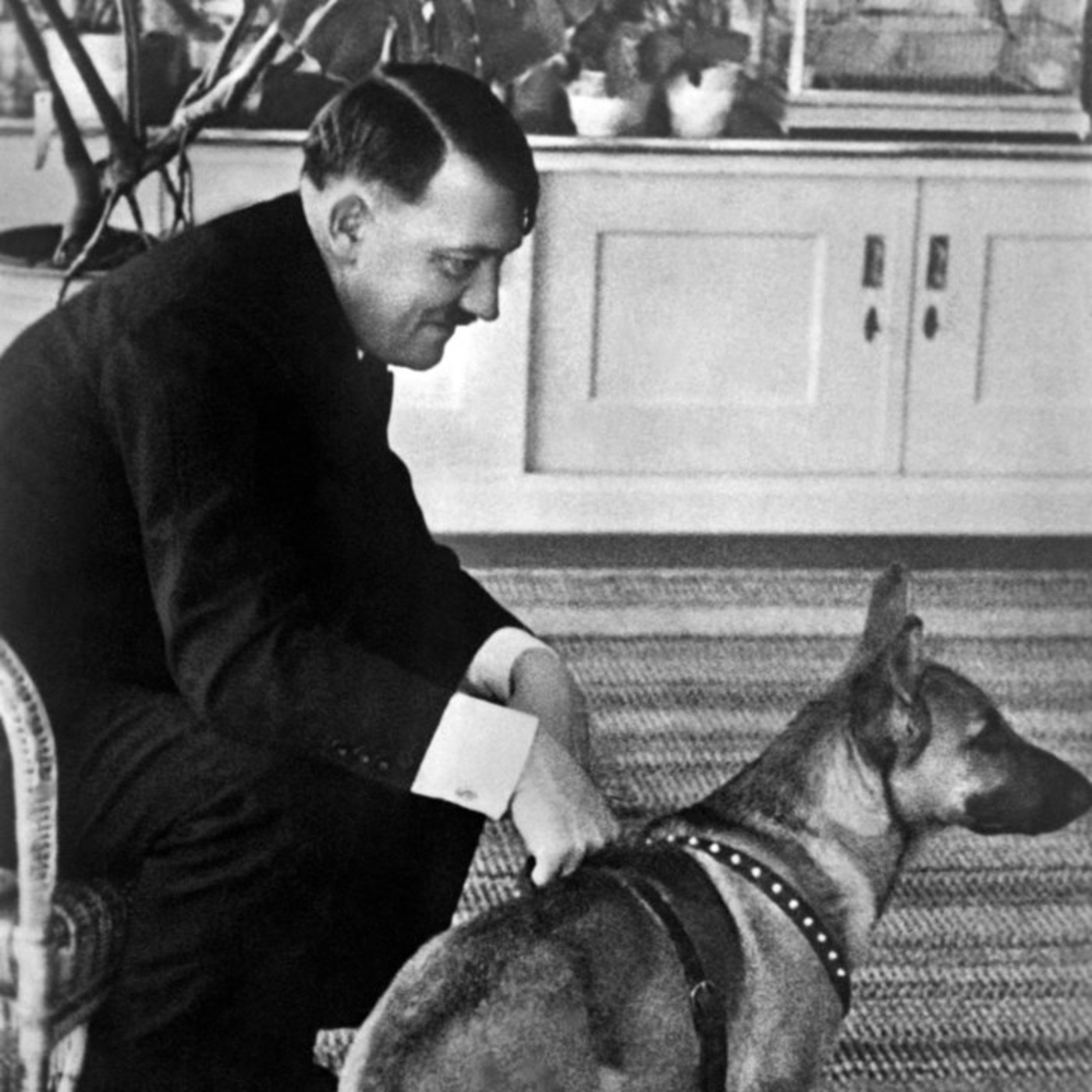 Cronista Animal Podcast