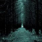 El bosque de los suicidios