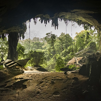 embed image