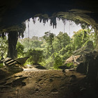 embed image