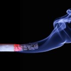 VENTANA ABIERTA: El Tabaco