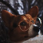 Lo mejor de 2018 en el frontend y lo que nos espera en 2019