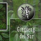 El Ángel de tu Salud - GINSENG DEL SUR I