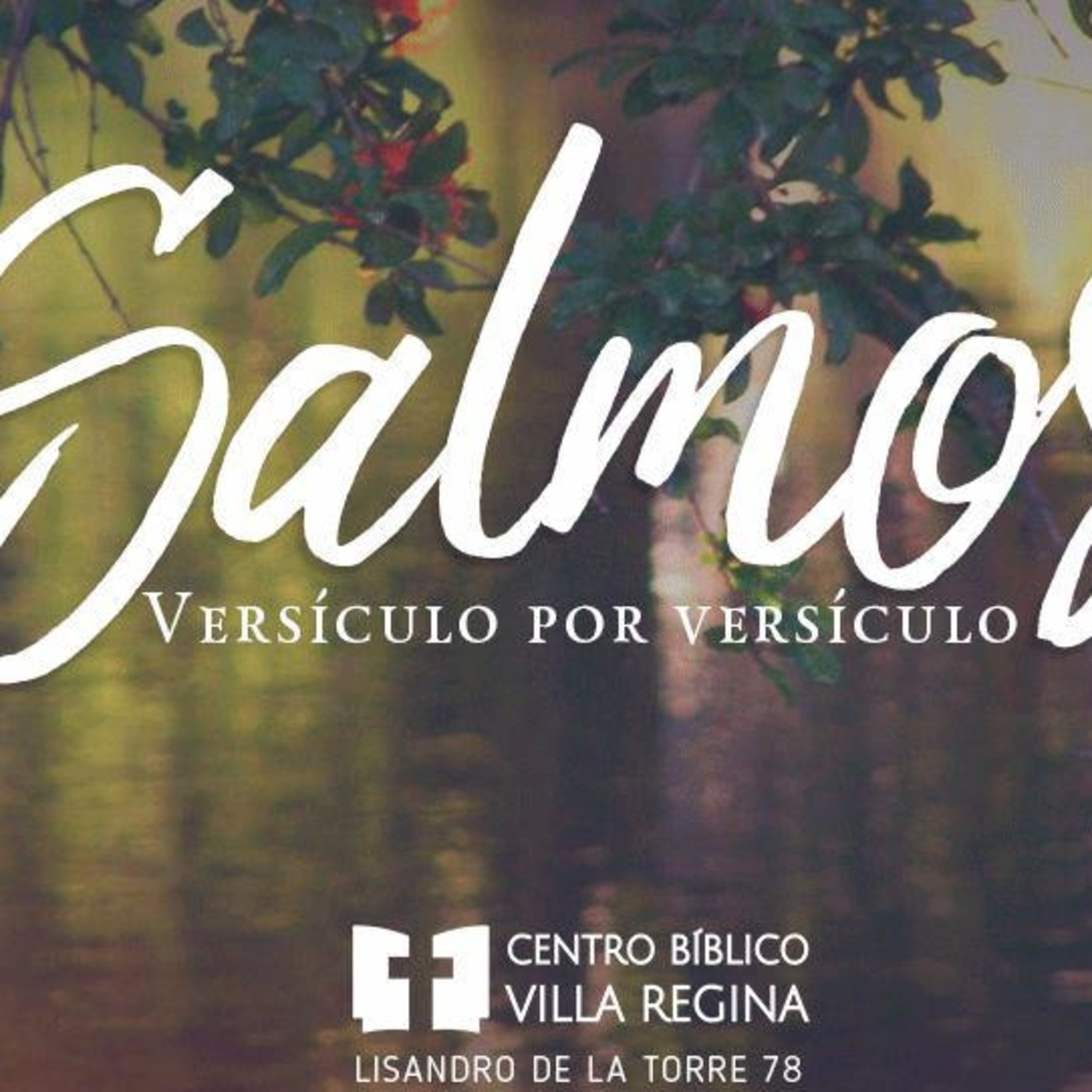 Salmos, versículo por versículo