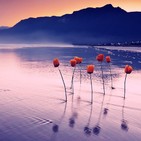 Música relajante de piano con sonidos de agua