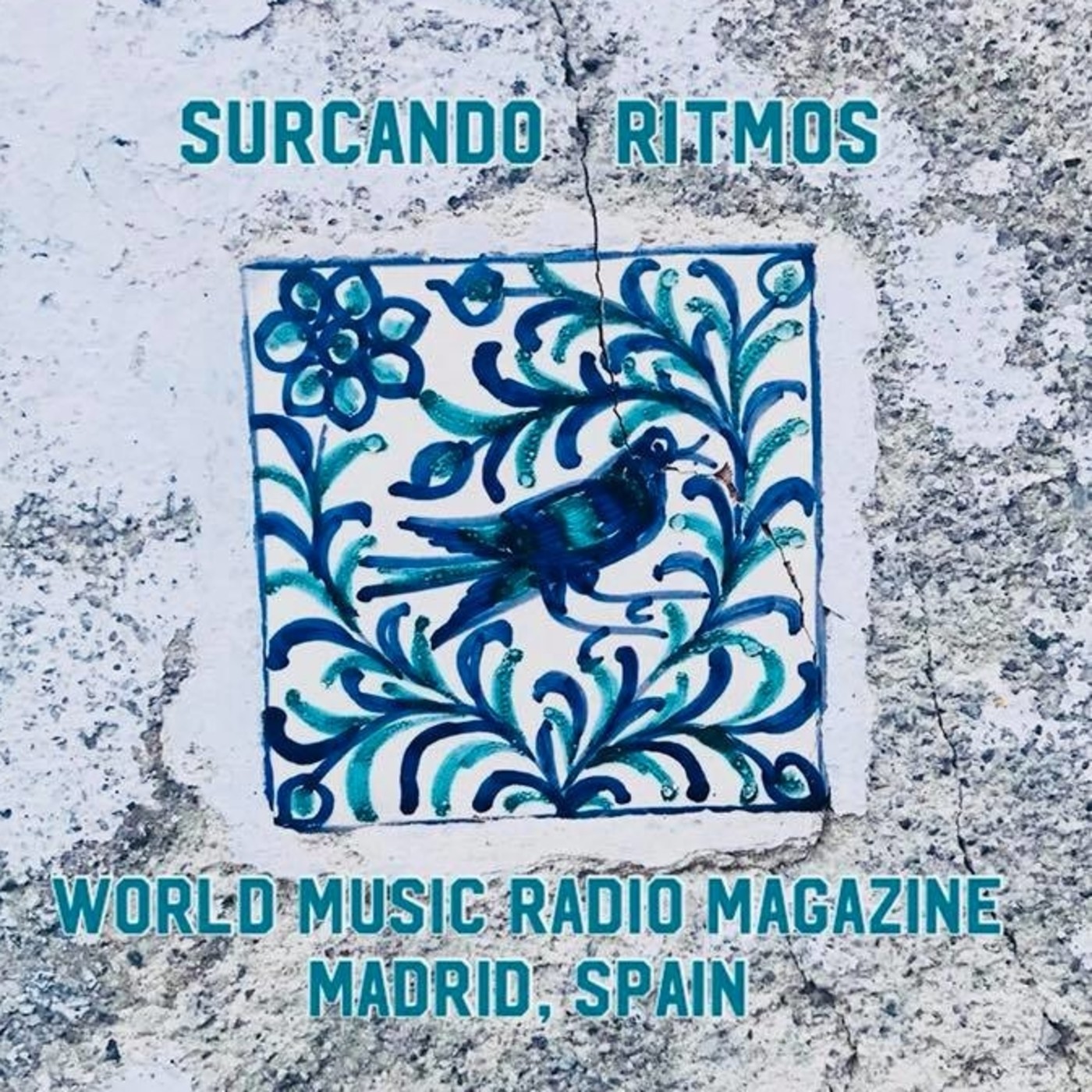 Surcando Ritmos