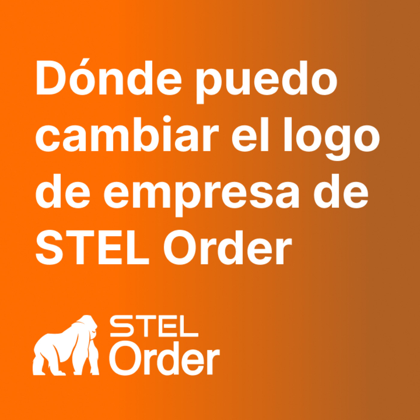 Ayuda y Soporte STEL Order