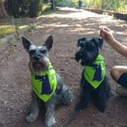 Prueba