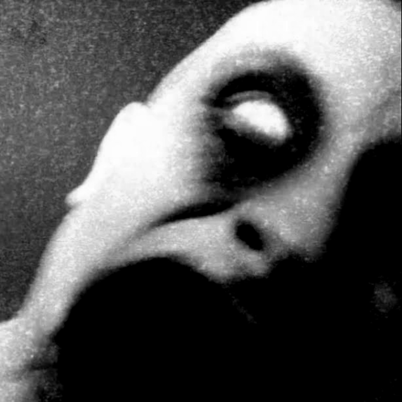 LA NOCHE MAS OSCURA