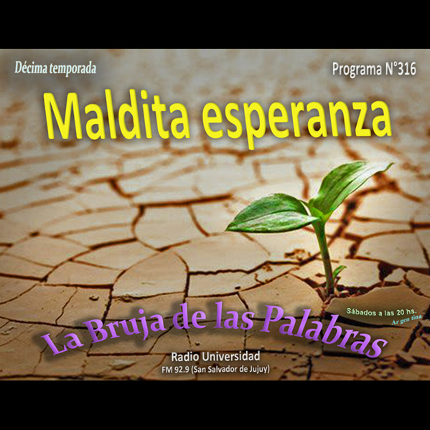 La Bruja de las Palabras