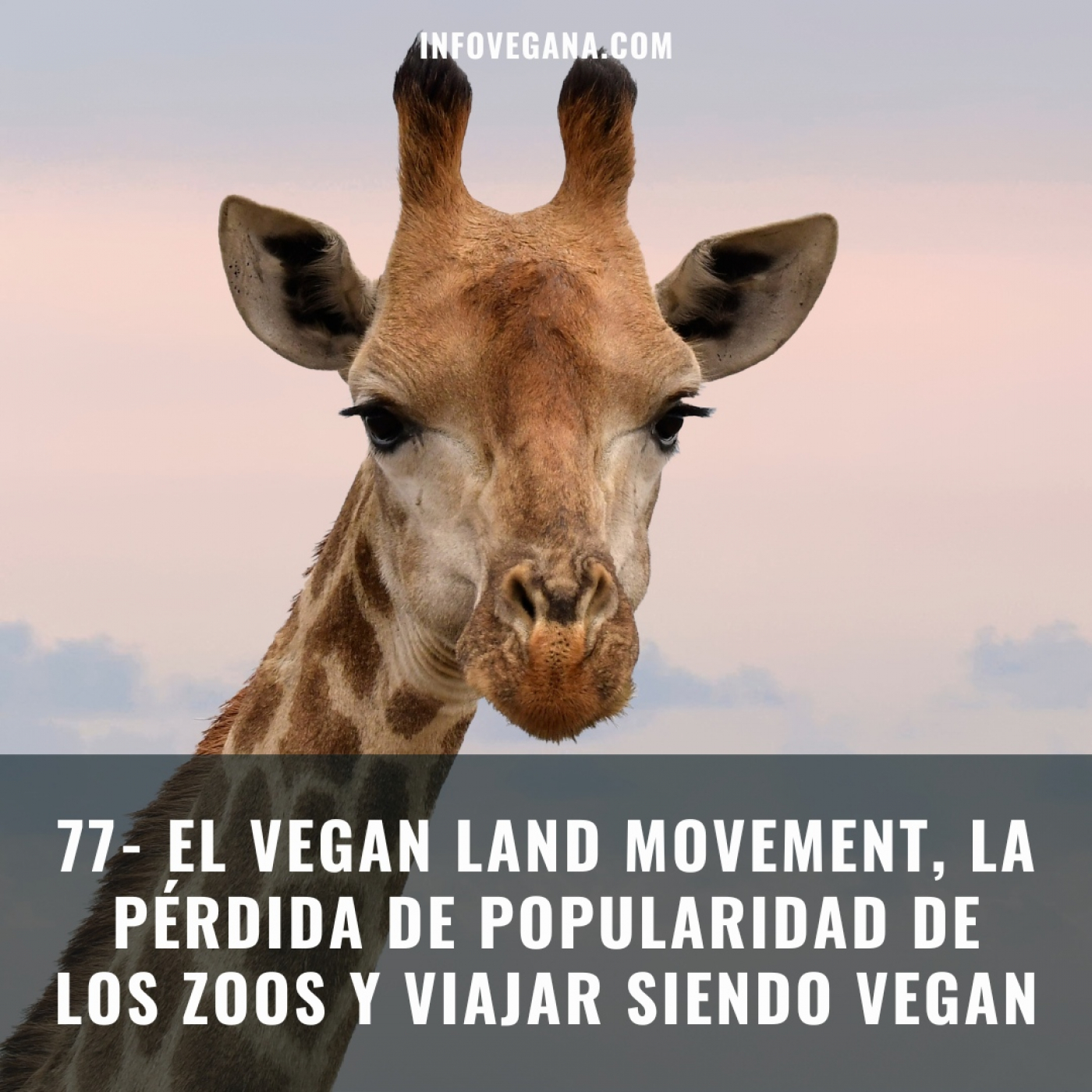 Infovegana, podcast de veganismo y sostenibilidad