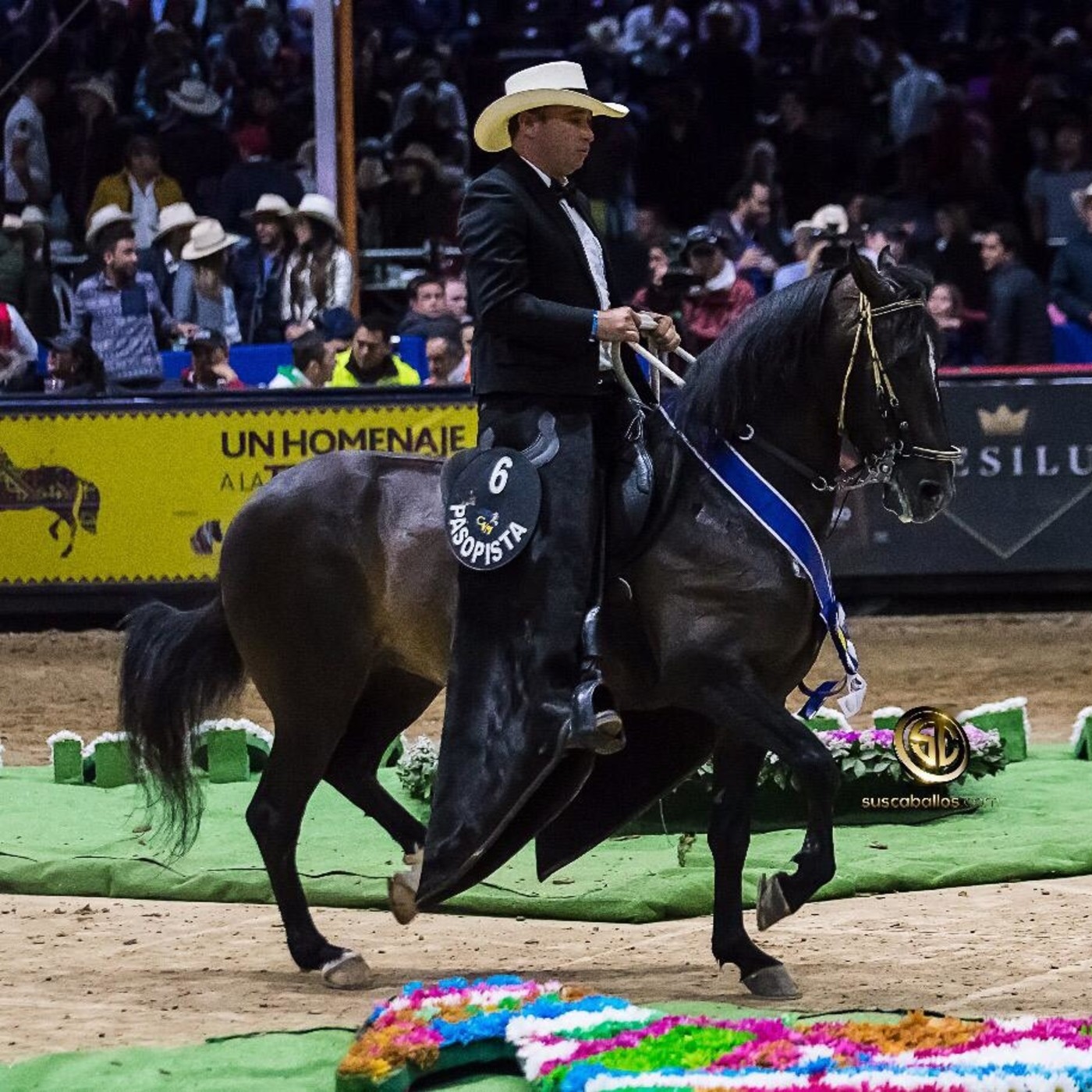 Hablando de Caballos - podcast